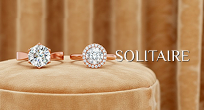 collection-05